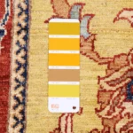 پادری کد 8