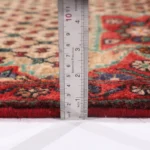 فرش دستبافت کناره کولیایی کد 447